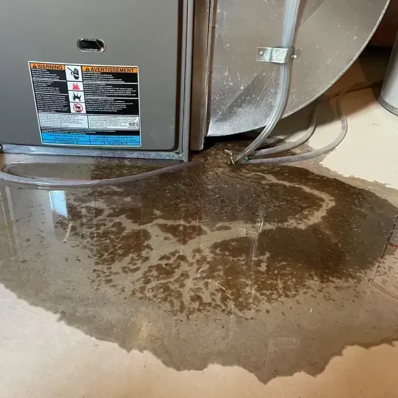 Appliance Leak Cleanup in Minonk, IL